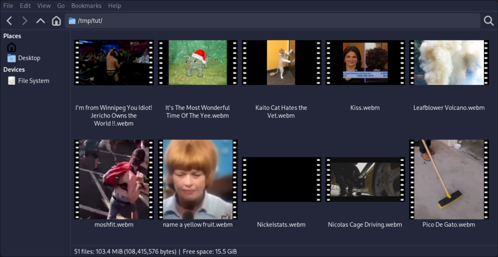 Thumbnails in Thunar with moviestrips.